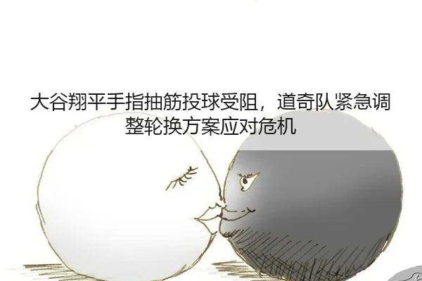 da-gu-xiang-ping-shou-zhi-chou-jin-tou-qiu-shou-zu-dao-qi-dui-jin-ji-tiao-zheng-lun-huan-fang-an-ying-dui-wei-ji-3-265.jpg